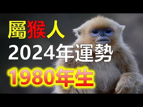 木猴 1980年|【1980木猴】1980年木猴：五行解析與運勢影響，你不可不知！